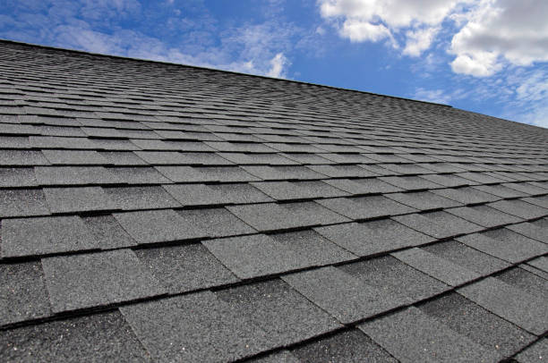Best Skylight Installation and Repair  in Greenwood Lake, NY